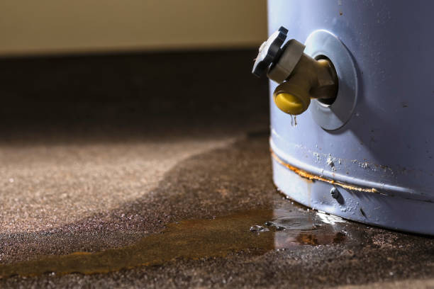 Best Water damage restoration near me  in Spicer, MN