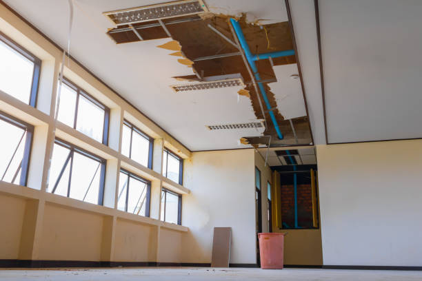 Best Water damage restoration specialists  in Spicer, MN