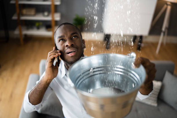 Best Residential water damage restoration  in Spicer, MN