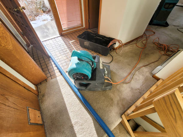 Best Professional water damage repair  in Spicer, MN