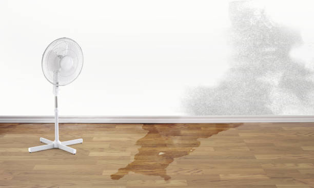 Best Basement water damage restoration  in Spicer, MN