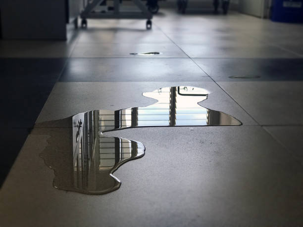 Best Local water damage restoration  in Spicer, MN