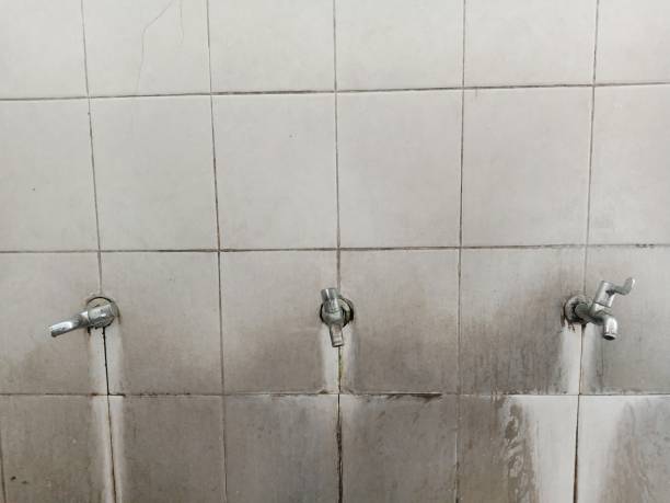 Best Water damage cleanup near me  in Spicer, MN