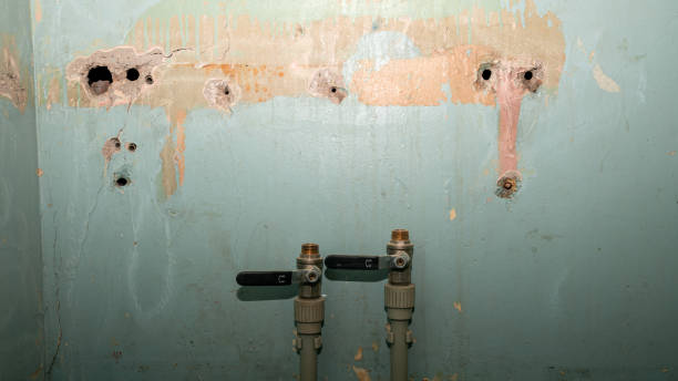 Best Water damage restoration near me  in Spicer, MN