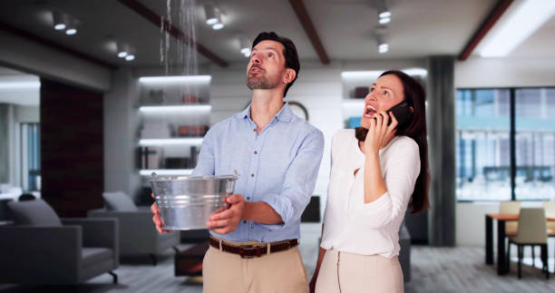 Best Emergency water damage restoration  in Spicer, MN