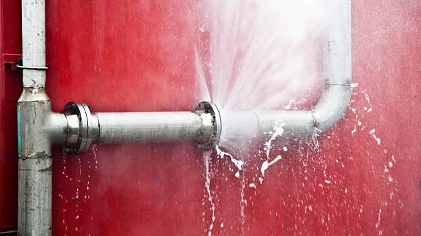 Best Professional water damage repair  in Spicer, MN