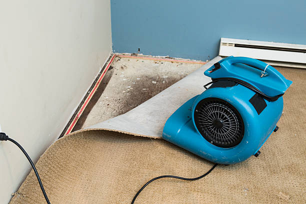 Best Fire Damage Restoration  in Spicer, MN
